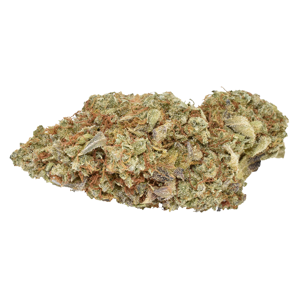 Sativa